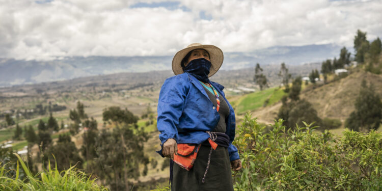 Harvest of the Day: Online Marketplace by Female Farmers in Ecuador Is Transforming the Industry