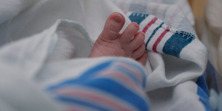 I Investigated the Prenatal Testing Industry