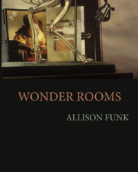 “Snorkeling,” by Allison Funk | Women’s Voices For Change