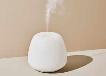Why You Need a Humidifier, According to Experts