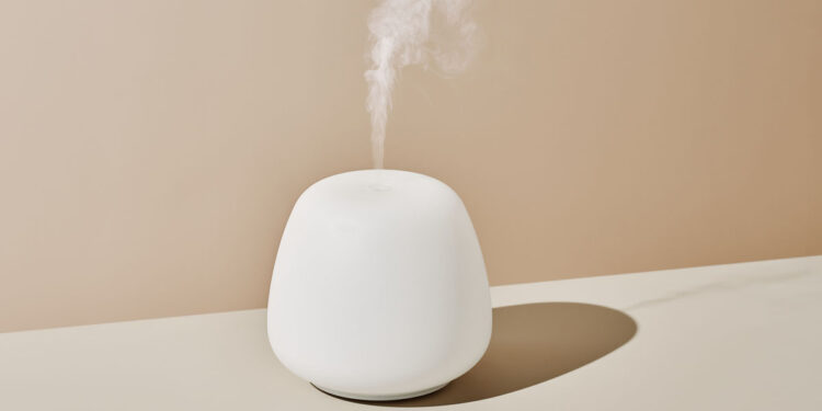 Why You Need a Humidifier, According to Experts