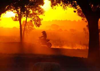 Worlds Apart, a Friendship Built on Dirt Tracks and 50cc Engines