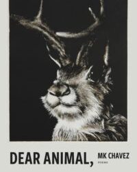 MK Chavez: “Little Red Riding Hood/Companion”