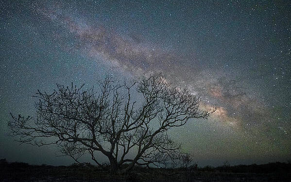 Harriet Tubman, Astronomer Extraordinaire – Ms. Magazine