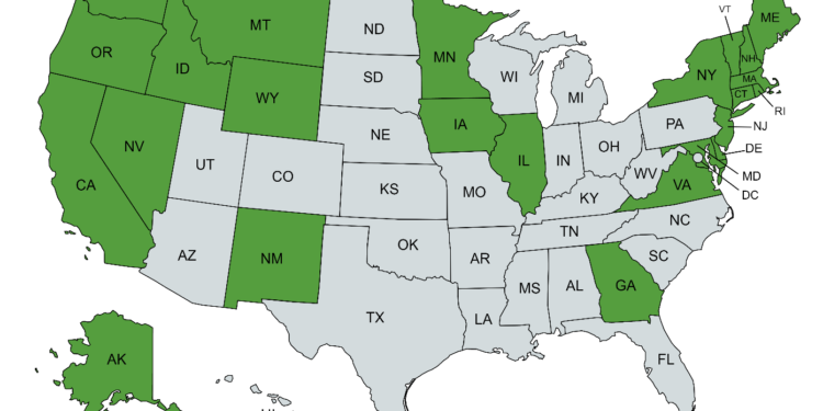 People Are Getting Creative Obtaining Abortion Pills Online