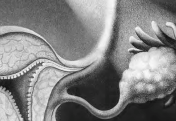 Review: ‘Vagina Obscura,’ by Rachel E. Gross