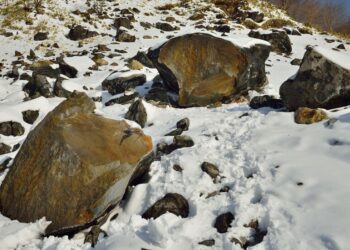 A ‘Killing Stone’ Broke in Japan. Is a Demon on the Loose?