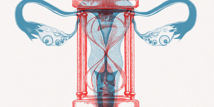 Opinion | Ovaries Are Prone to ‘Exhaustion’ and ‘Fatigue.’ Or Are They?