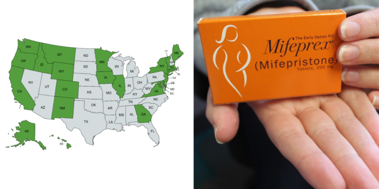 International Telemedicine Abortion Service Is ‘Safe, Effective and Acceptable,’ Says New Research