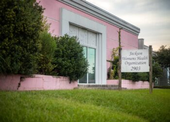 Independent Abortion Providers Are on the Front Lines in the Assault on Reproductive Rights