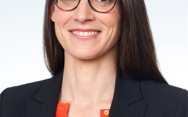 MAYER AS VICE PRESIDENT