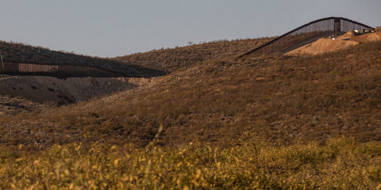 Woman Dies After Trying to Scale Border Fence Into Arizona