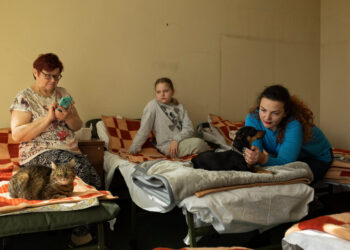 The Ukrainian Refugee Crisis Is a Women’s Crisis