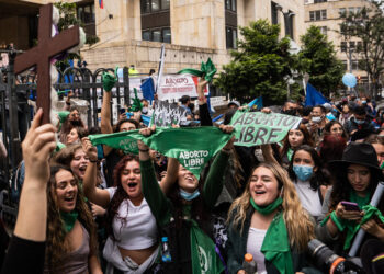 Roe Inspired Activists Worldwide, Who May Be Rethinking Strategy