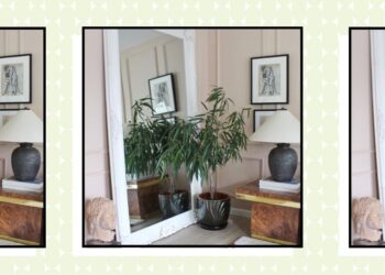 Why Houseplants May Be the Missing Piece in Your Home