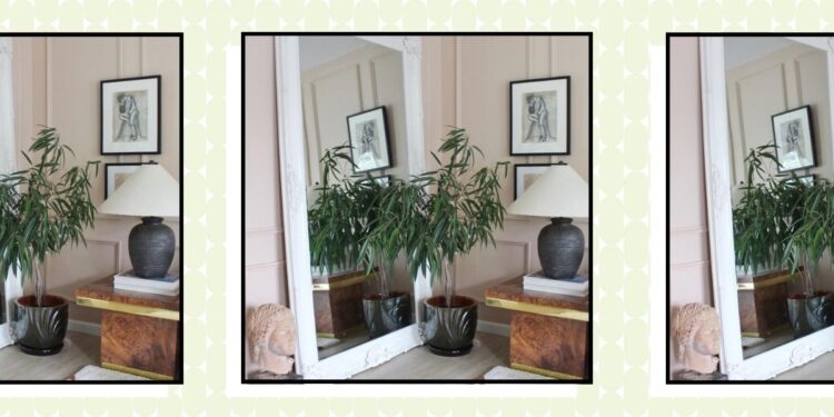 Why Houseplants May Be the Missing Piece in Your Home