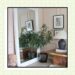 Why Houseplants May Be the Missing Piece in Your Home