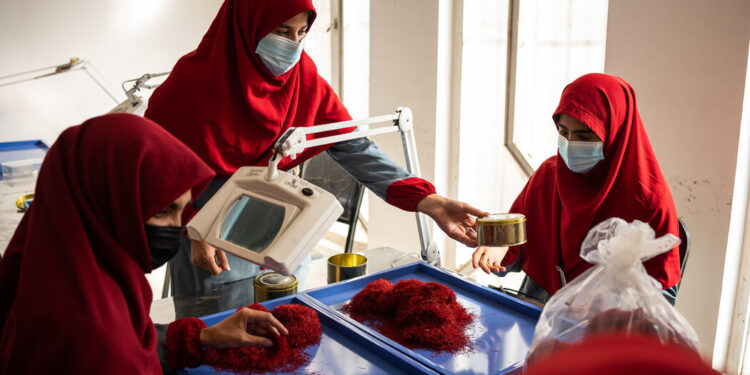 These Veterans Started Businesses Inspired by Their Deployments