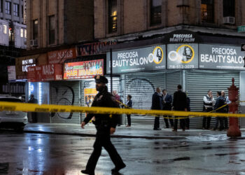 Girl, 11, Is Killed by Stray Bullet in the Bronx
