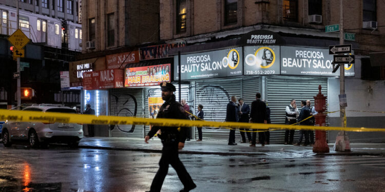 Girl, 11, Is Killed by Stray Bullet in the Bronx