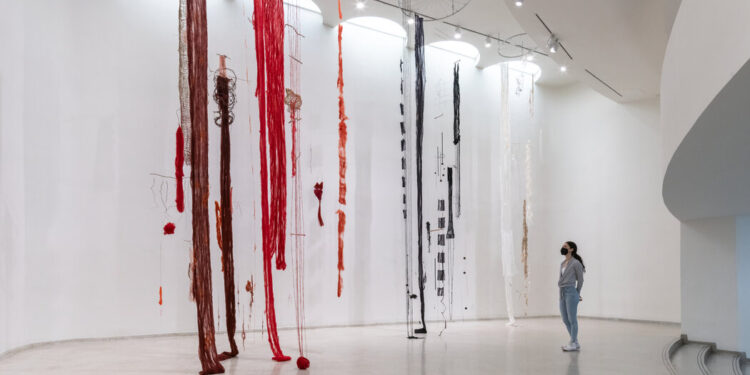 The Precarious Art of Cecilia Vicuña