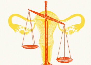 Opinion | The Politicization of the Supreme Court Is Eroding Its Legitimacy