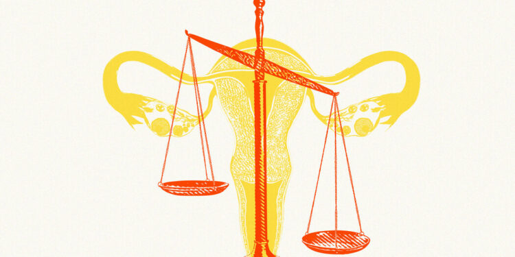 Opinion | The Politicization of the Supreme Court Is Eroding Its Legitimacy