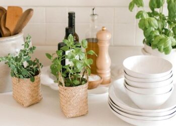 45 Random Home Necessities Everyone Needs