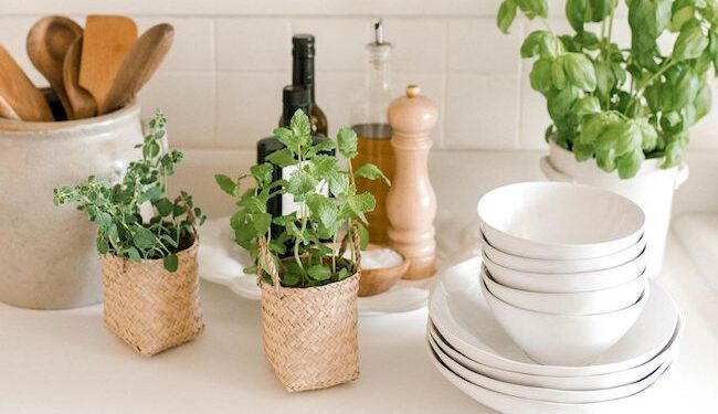 45 Random Home Necessities Everyone Needs