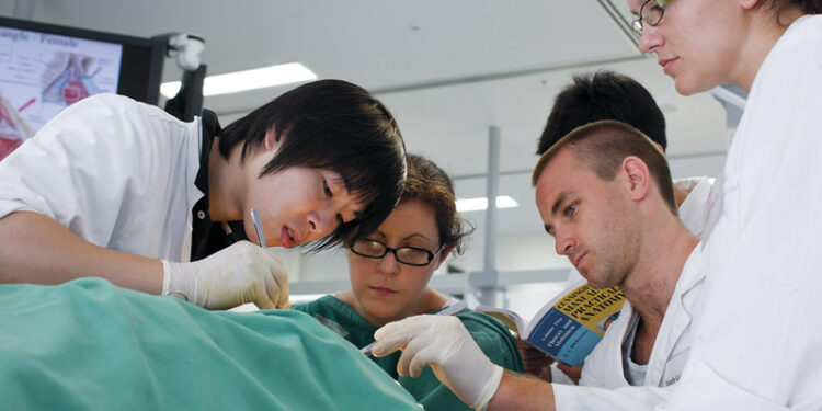 ‘A Whole Generation of People Who Don’t Know How To Take Care of People’: Training Ob-Gyn Medical Students In a Post-Roe World