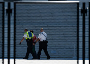 Enforcing Criminal Abortion Bans Post-Roe: ‘A Massive Escalation of Surveillance’