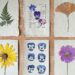 How to Press Flowers for the Prettiest DIY Decor