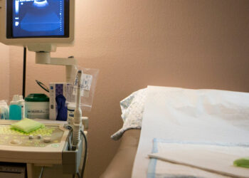 How Did Roe Fall? Before a Decisive Ruling, a Powerful Red Wave.