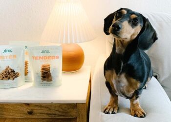 The Affordable Way We Spoil Our Pups