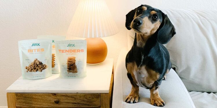 The Affordable Way We Spoil Our Pups