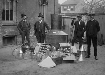 Opinion | Abortion, Like Prohibition, Has a Clear Racial Dimension