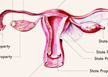 Opinion | Leave My Disability Out of Your Anti-Abortion Propaganda