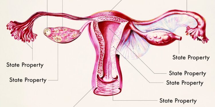 Opinion | Leave My Disability Out of Your Anti-Abortion Propaganda