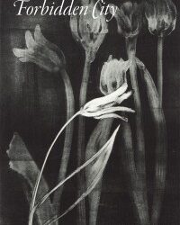 Poetry Sunday: “The Bay,” by Gail Mazur