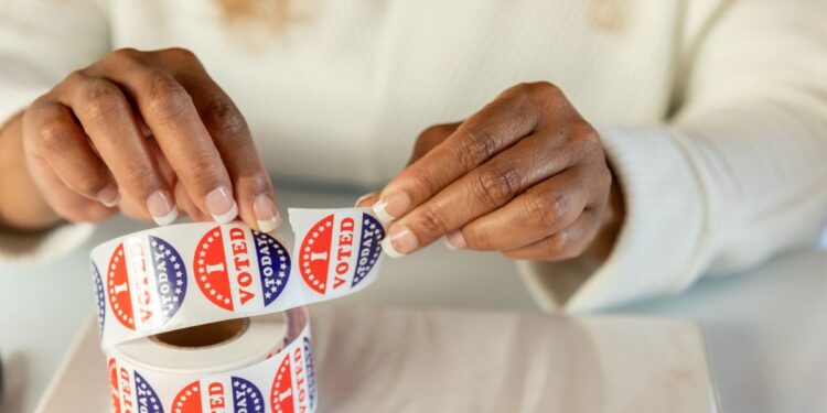 How To Prepare for the Midterm Elections |The Everygirl