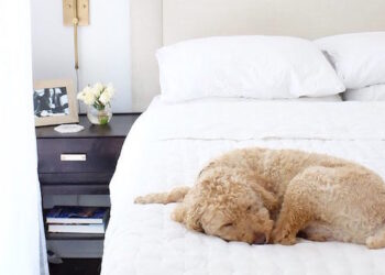 The Best Home Essentials from the Nordstrom Anniversary Sale