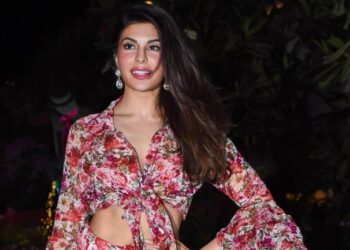 Actor Jacqueline Fernandez gets interim bail in Rs 200 crore extortion case
