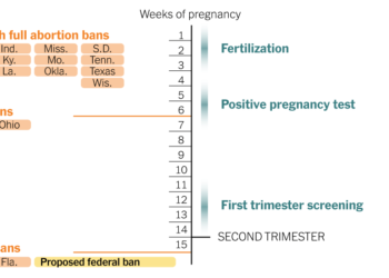 How a Nationwide Abortion Ban After 15 Weeks Would Compare to State Laws