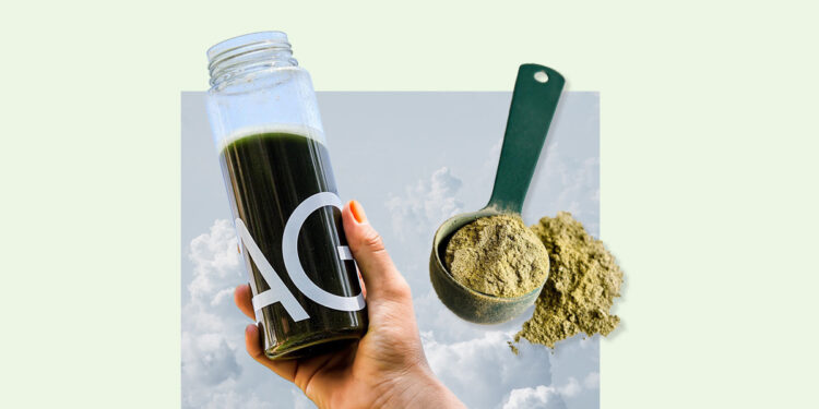 Here’s What I Learned From a Week on Athletic Greens