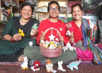 Pratibha Krishnaiah from Bengaluru moved to Uttarakhand and transformed the face of a remote mountain village through her NGO, Himalayan Blooms