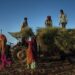 India’s Women Farmers: The Unimagined Mass