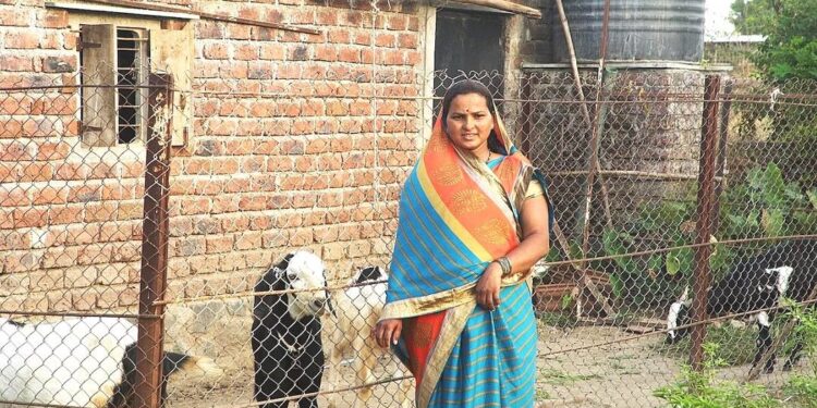 While the idea of entrepreneurship may appear to be restricted to India's urban populace, the truth is that one can find a more significant number of small-scale businesses and micro-entrepreneurs in the rural side of the country.