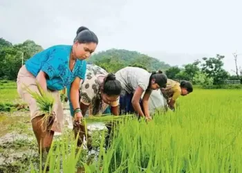 Women’s Empowerment is About Land Ownership