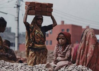 Elaborating on a multi-pronged approach,Minister of Rural Development and Panchayati Raj Giriraj Sing said how women SHGs in the villages could usher in a new green revolution by making organic fertilisers.