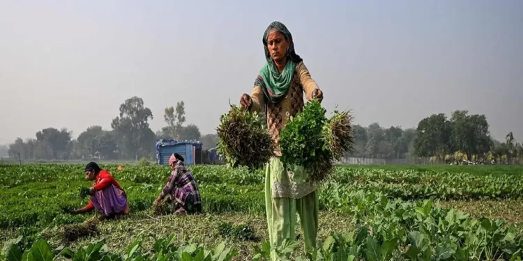 Prof Nitya Rao, Professor of Gender and Development in UEA’s School of Global Development, co-led the study with Dr Soundarya Iyer, Assistant Professor of R.V University Bengaluru.